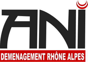 Logo ANI déménagement