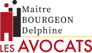 Logo Delphine Bourgeon