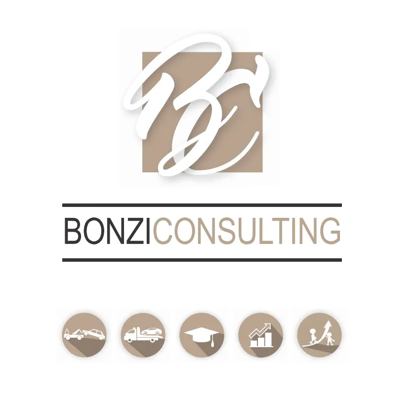 Bonzi consulting