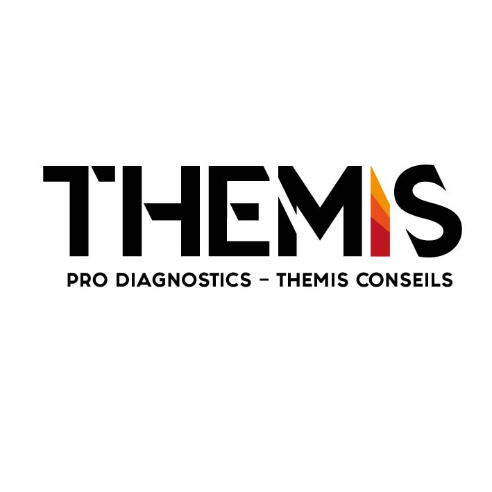 Logo Themis