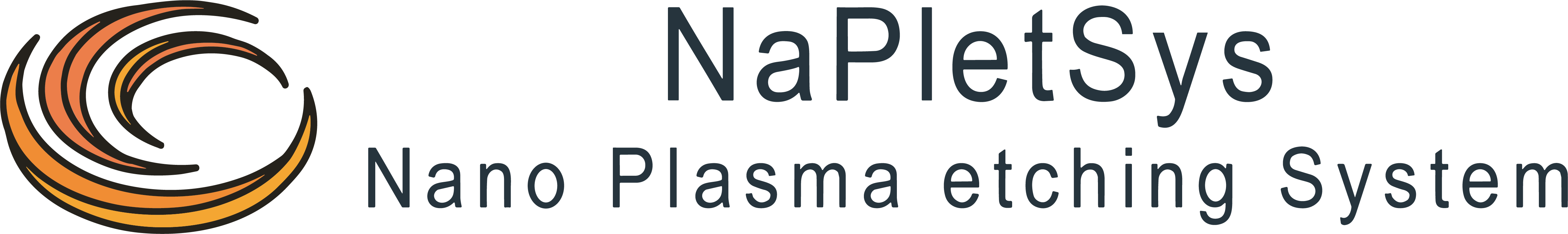 Logo Napletsys