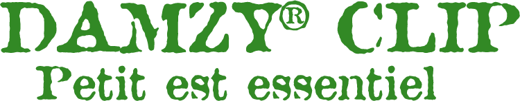 LOGO DAMZY CLIP