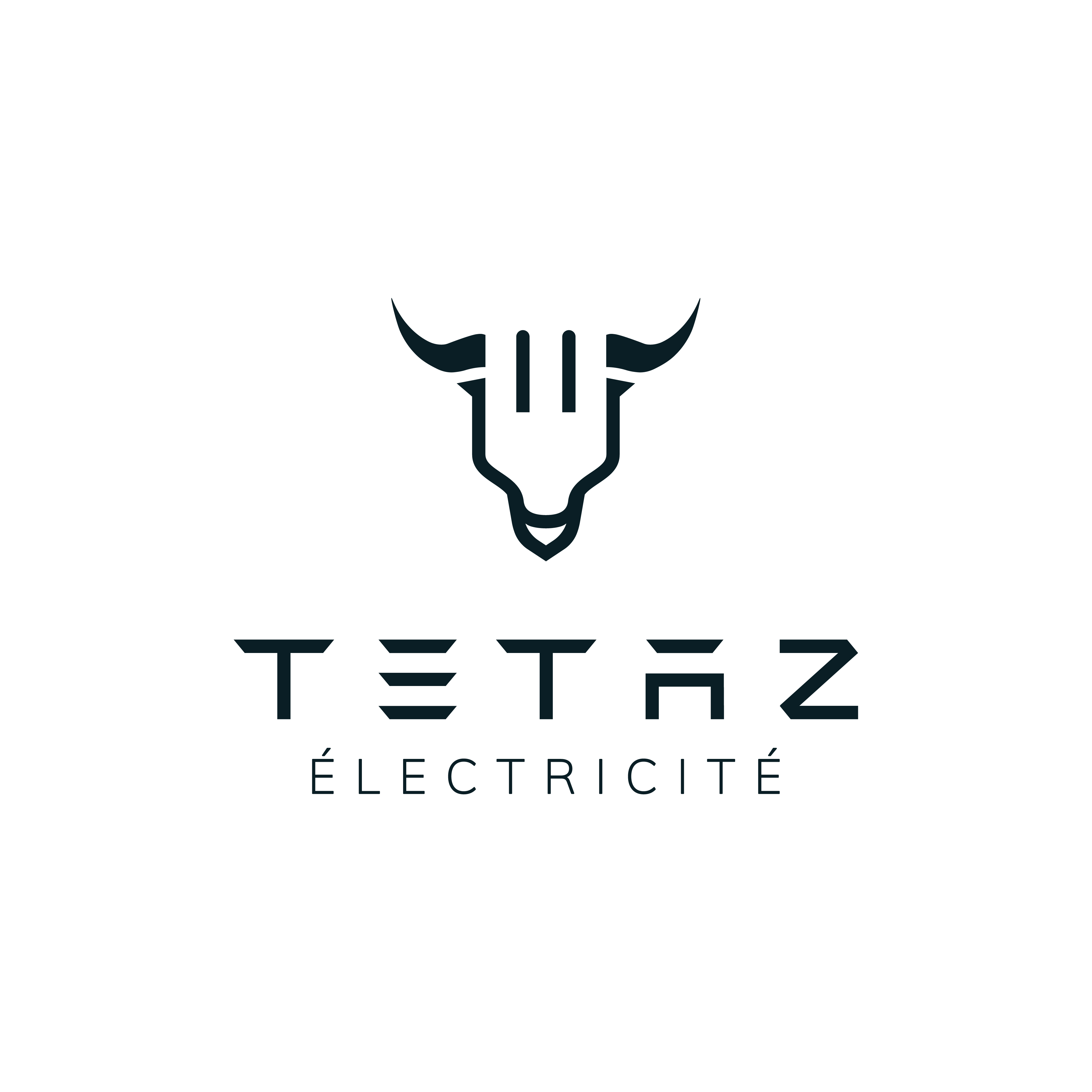 LOGO TETAZ ÉLECTRICITÉ
