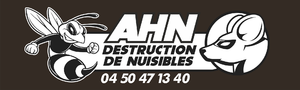 LOGO AHN